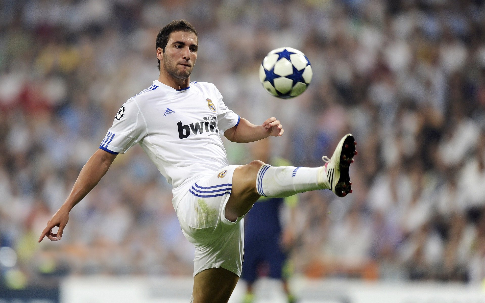 2026年世界田径锦标赛申办城市路演进入关键期